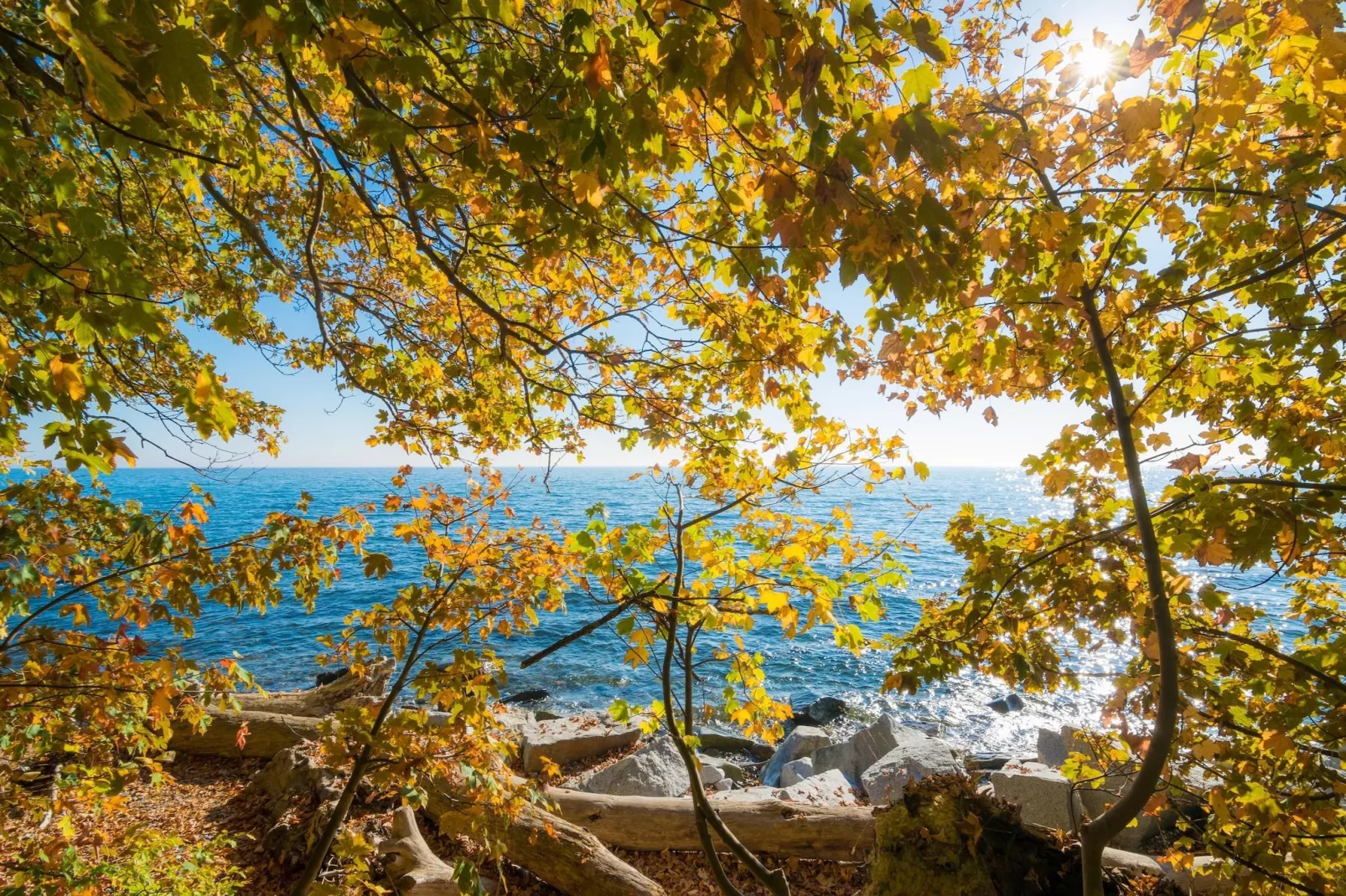 Rugen Superior Double Room - Gebieden zomer 20km