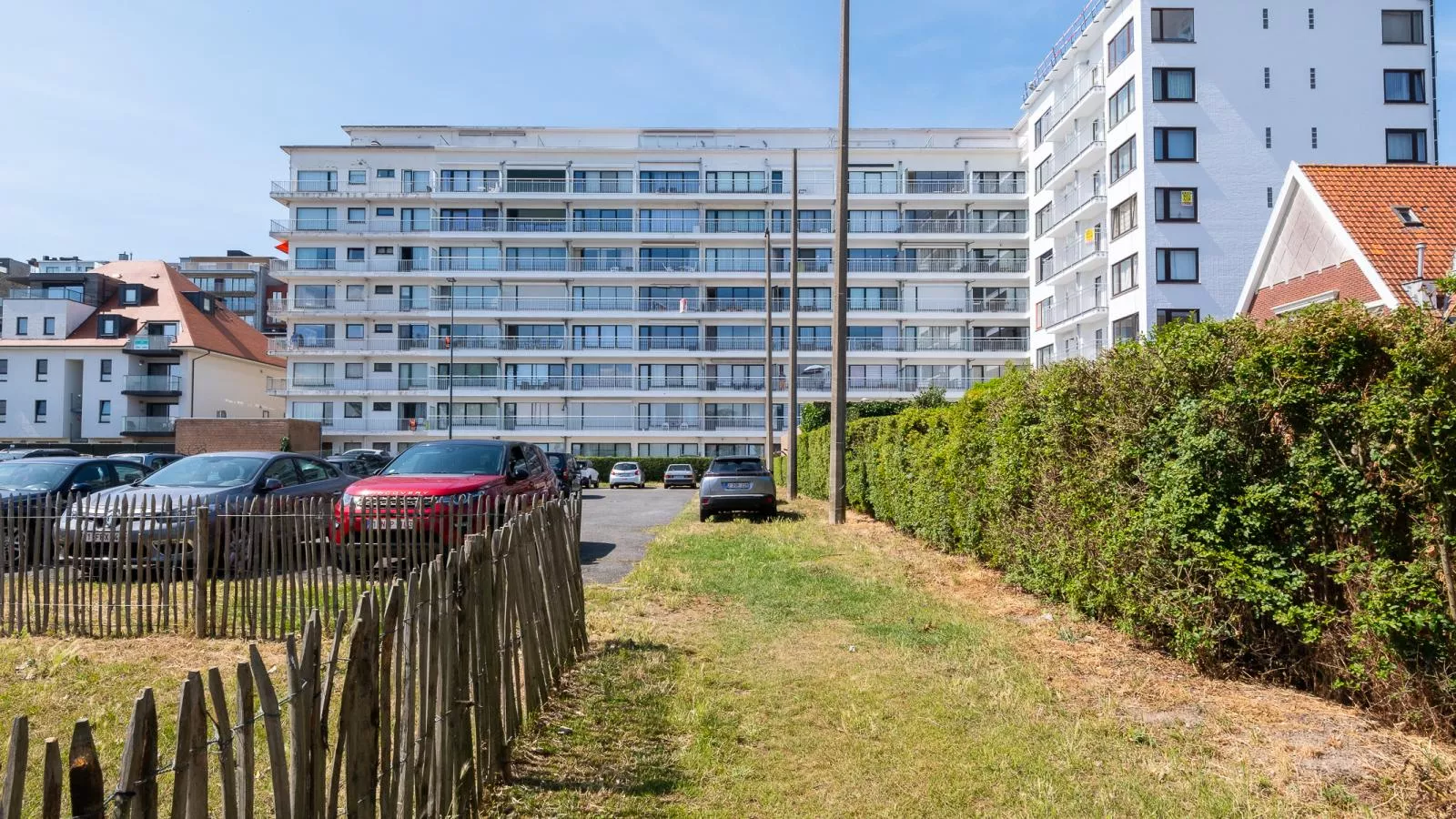 Sunflower - 0705-Buitenlucht