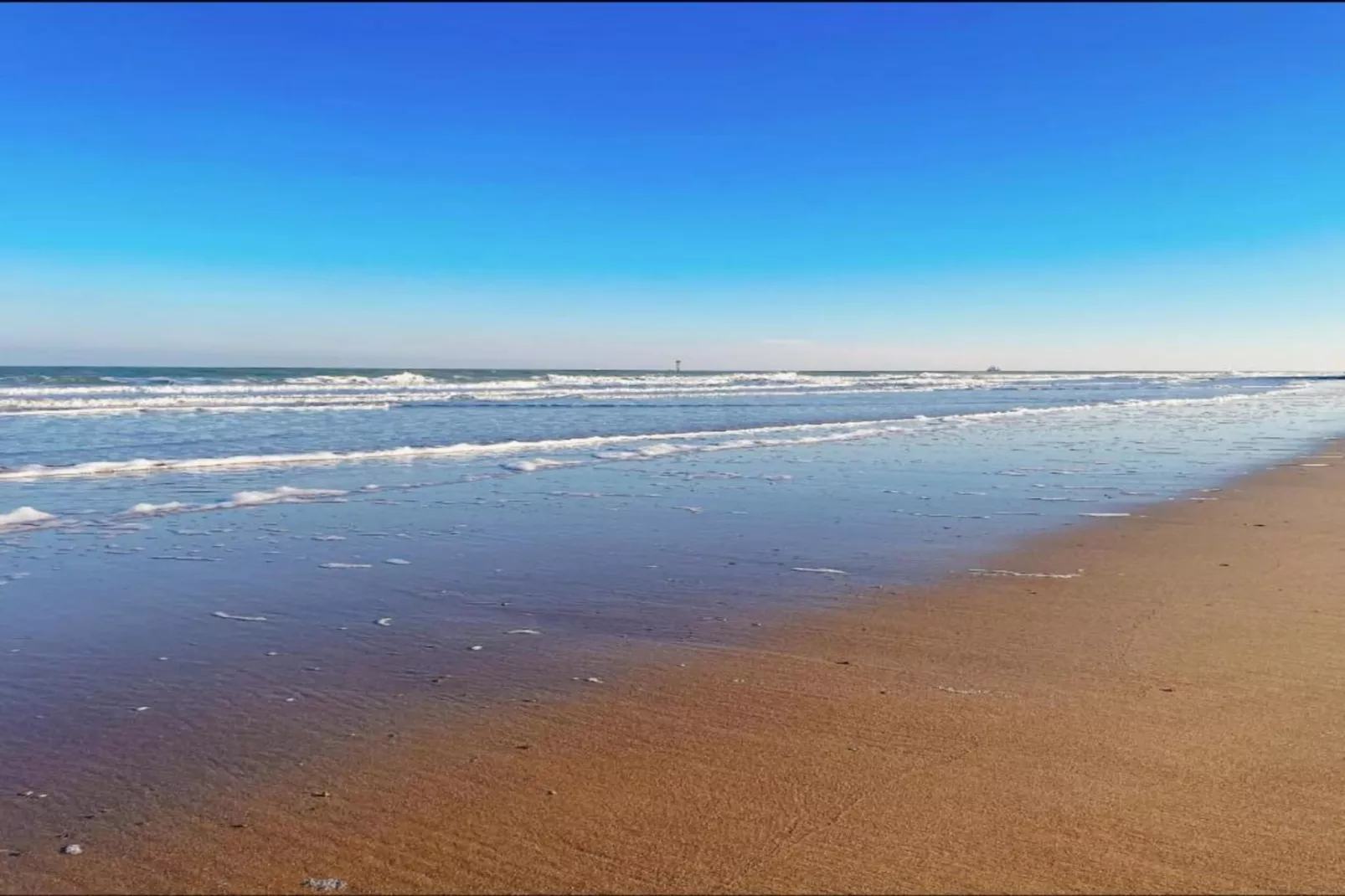 Residentie Lobelia-E1 - Gebieden zomer 1km