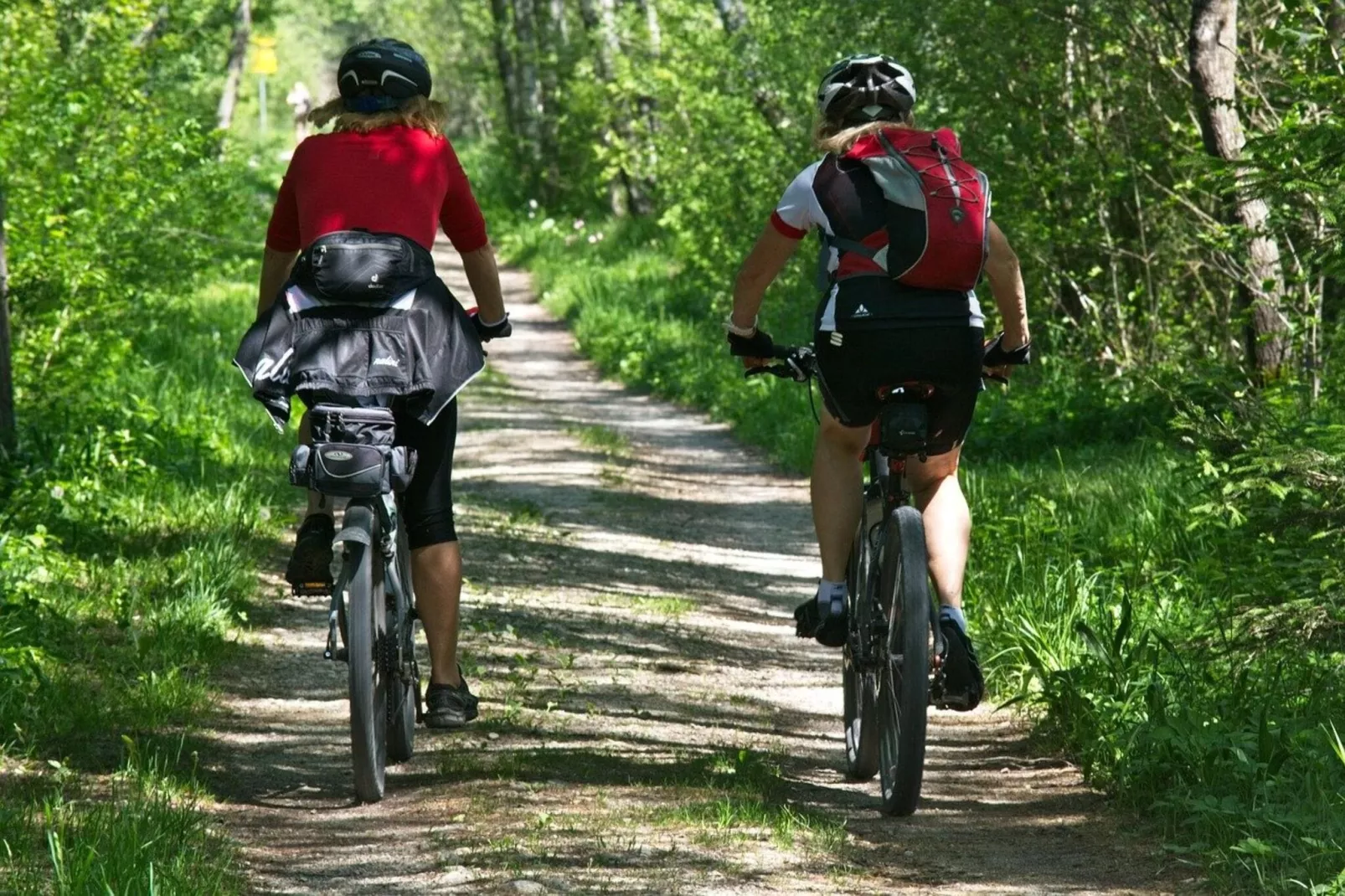 Camping Nommerlayen 1-Gebieden zomer 5km