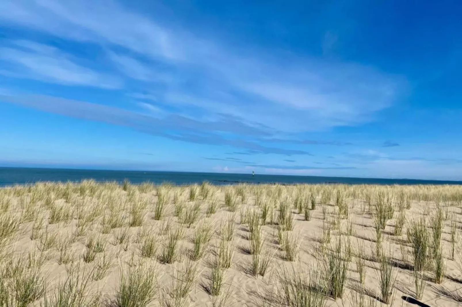 Residentie NORMANDY-31-Gebieden zomer 1km