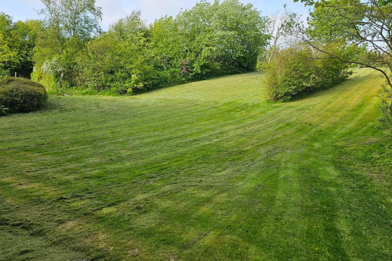 	T1 Business enkeltværelsese-Uitzicht