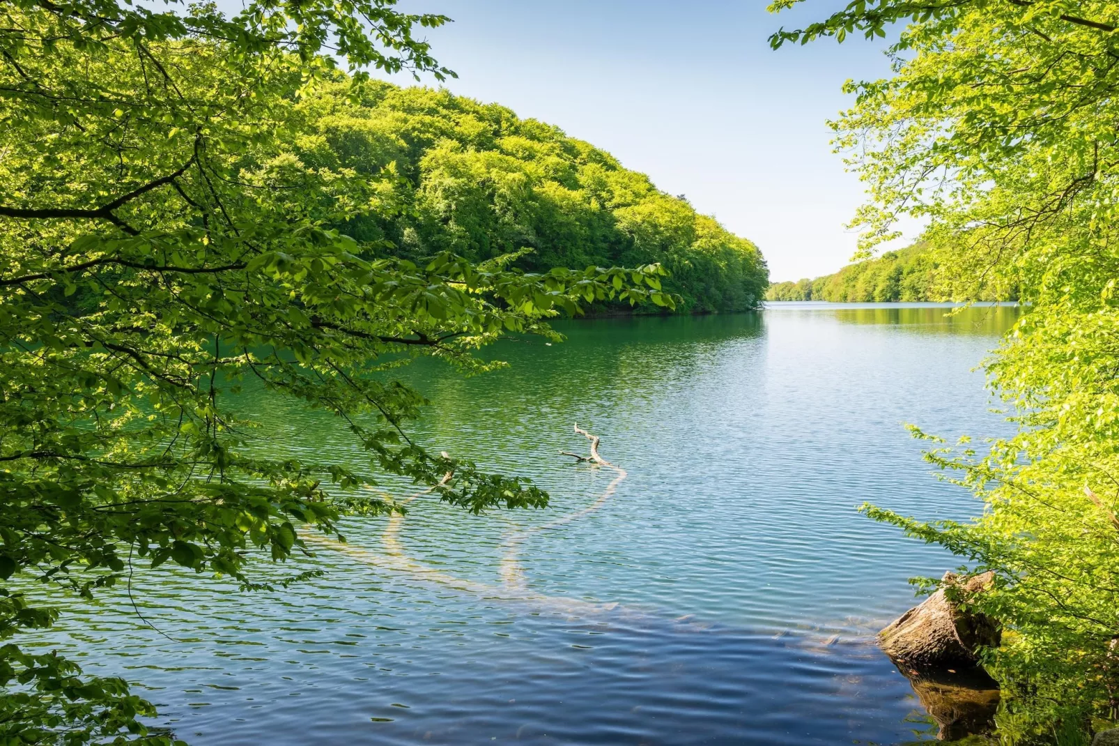 Single Room - Gebieden zomer 20km