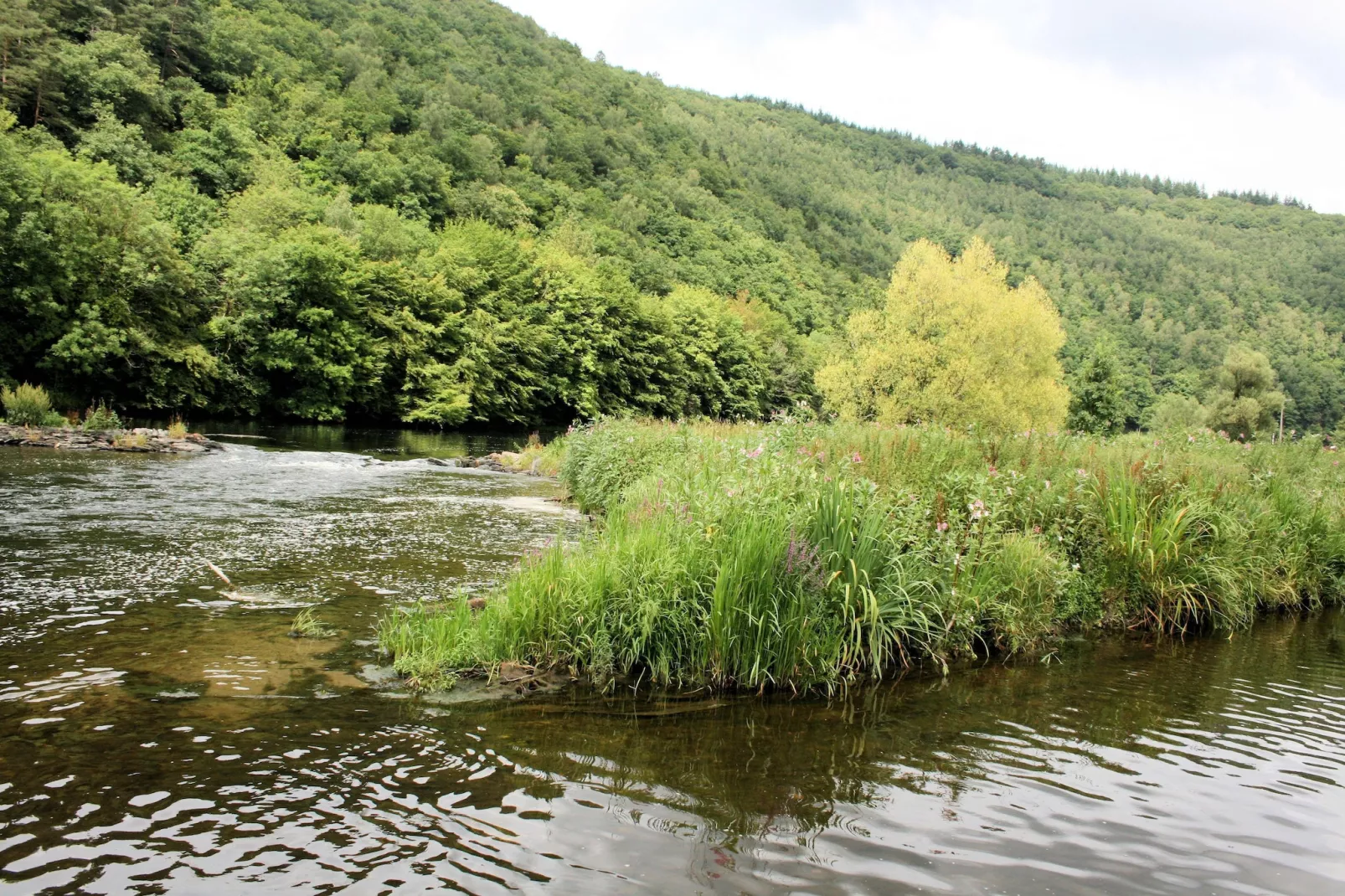 Au Coeur d'Alle - Triple Room with Bathroom-Gebieden zomer 20km