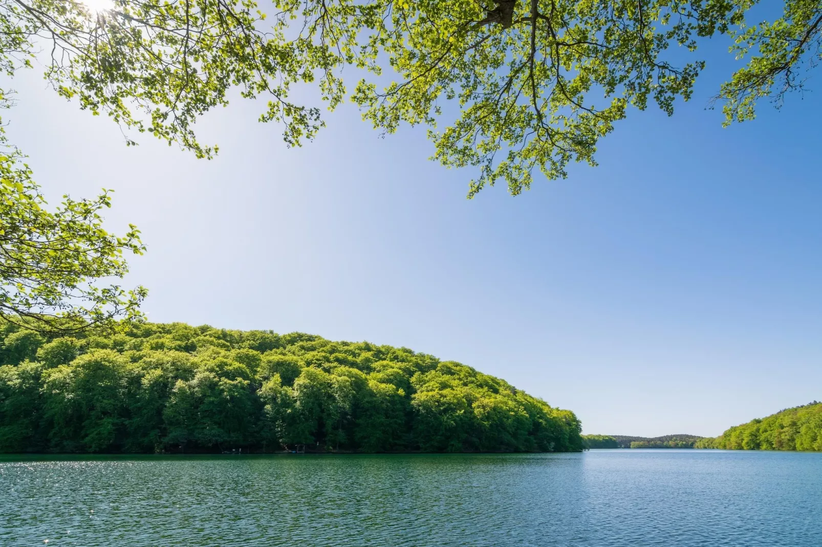 Standard Suite Room - Gebieden zomer 20km