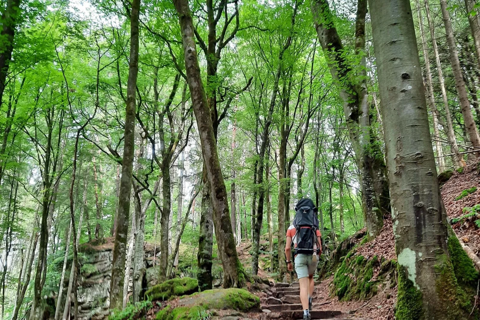 Resort Auf Kengert 1-Gebieden zomer 5km