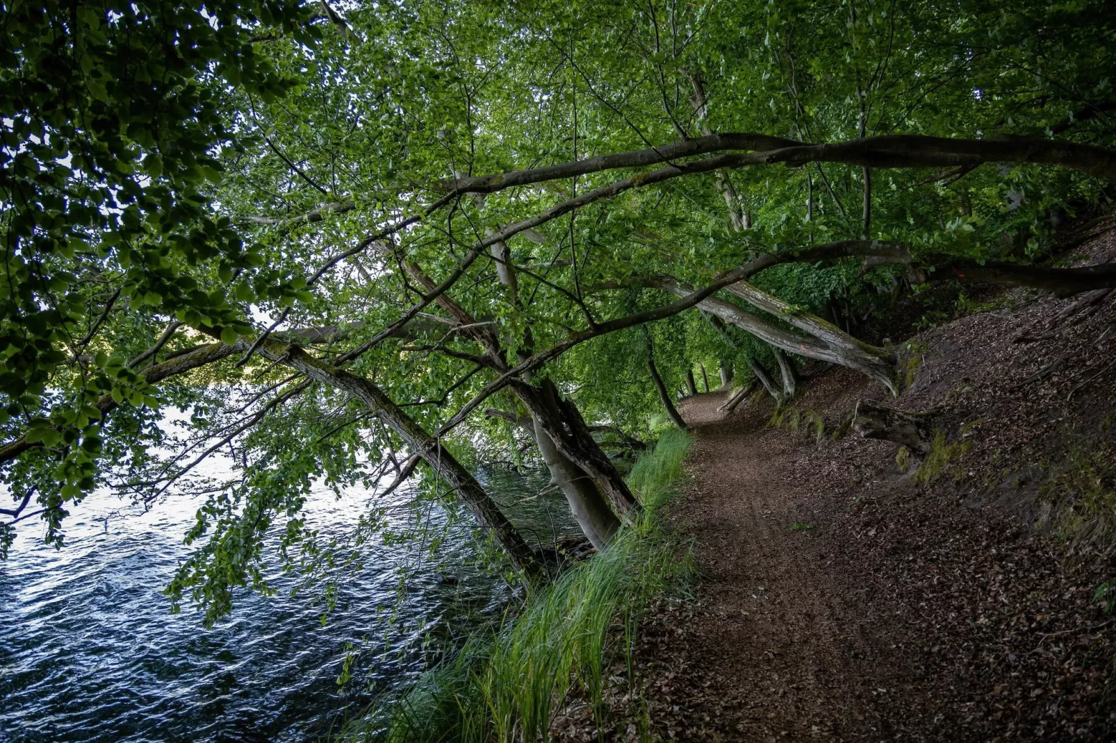Single Room - Gebieden zomer 20km