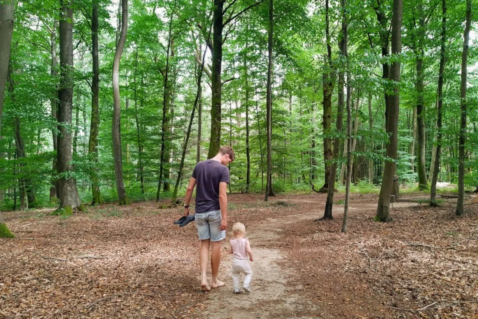 Camping Auf Kengert 2-Gebieden zomer 5km