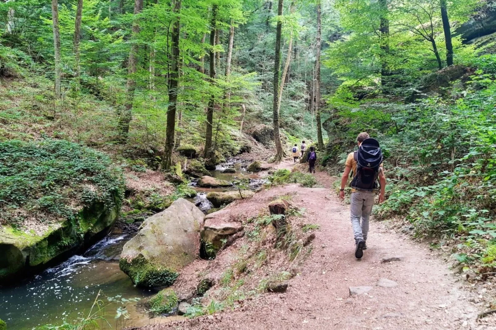 Camping Auf Kengert 2-Gebieden zomer 5km