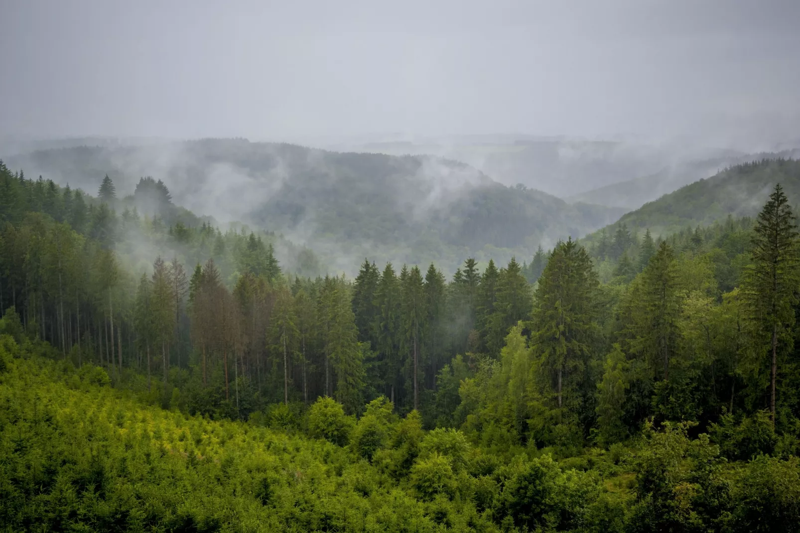 Au Coeur d'Alle - Triple Room with Bathroom-Gebieden zomer 20km