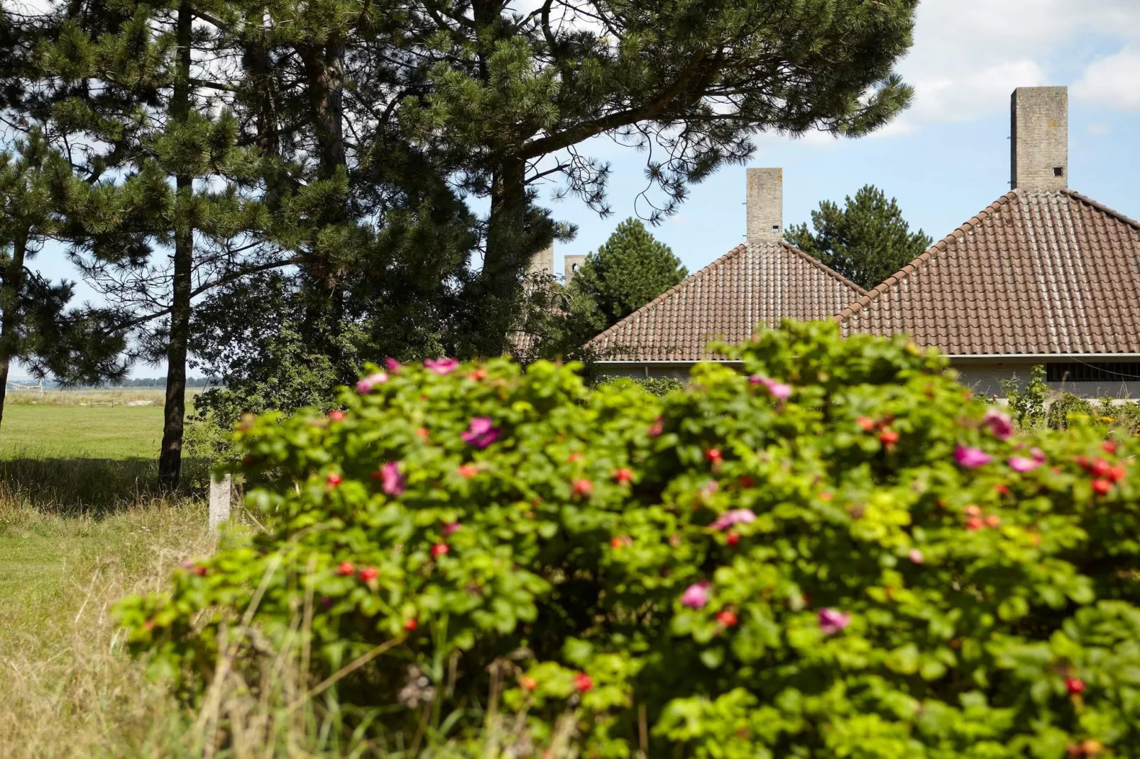 	3 roomPremium-Buitenlucht