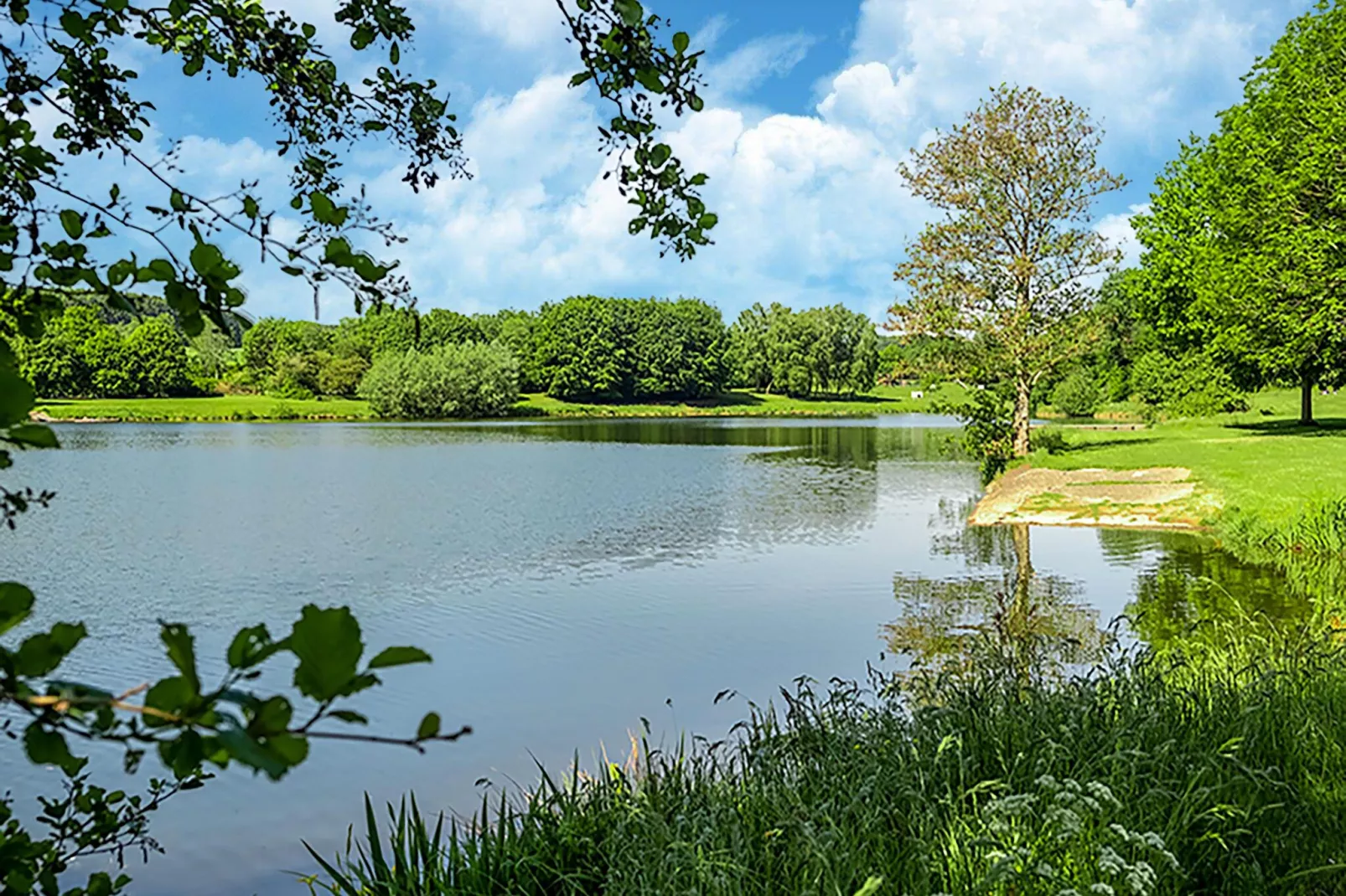 Vakantiehuis Museum Binsfeld-Gebieden zomer 20km