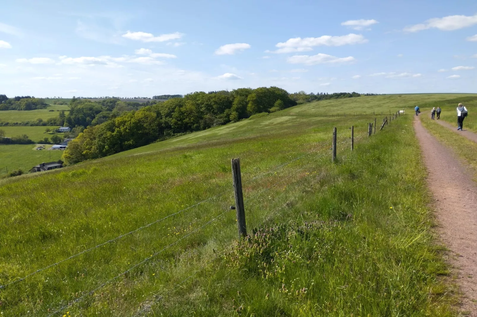 Ferienwohnung Winkel in der Vulkaneifel-Gebieden zomer 5km