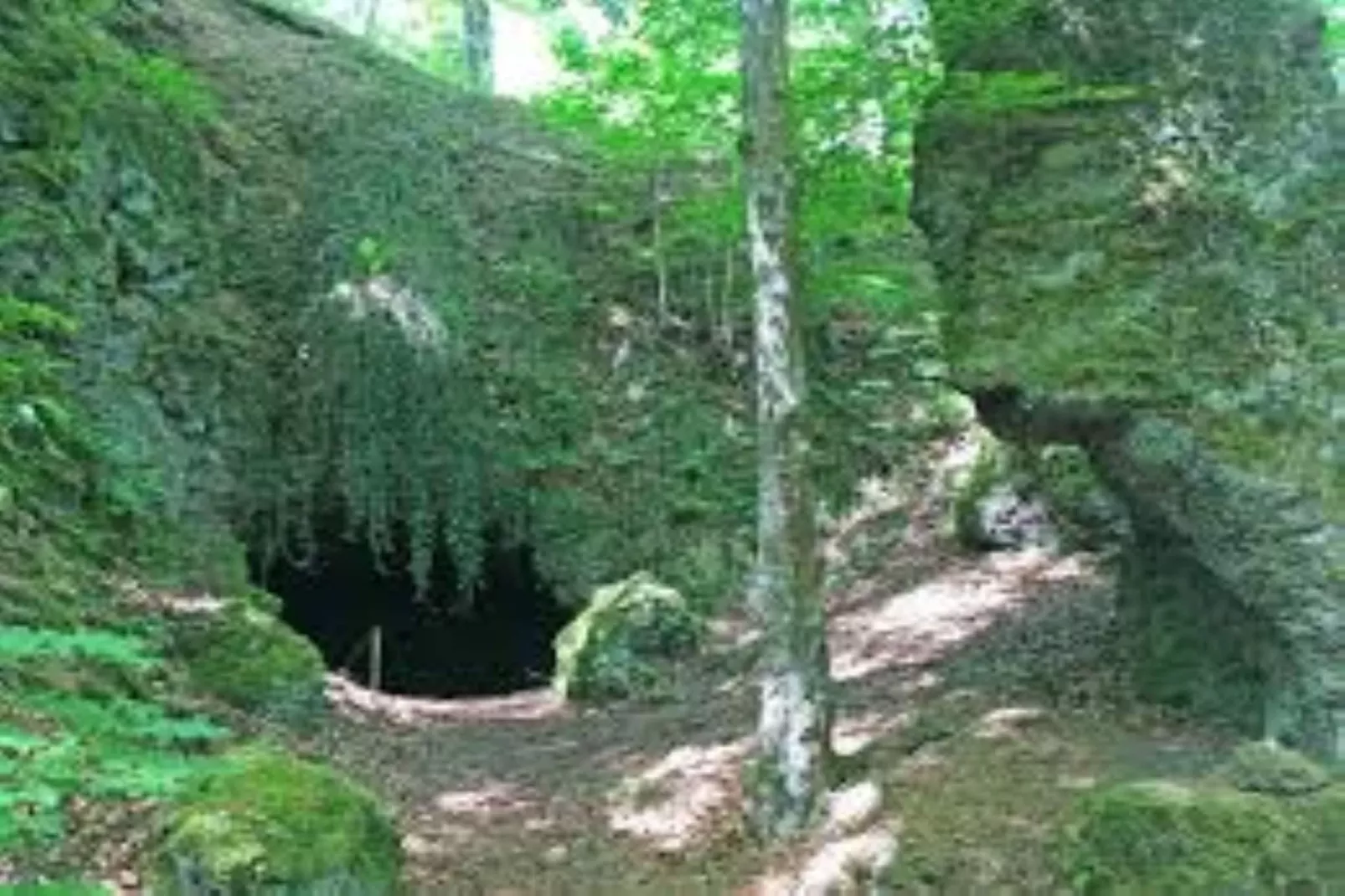 Ferienwohnung Winkel in der Vulkaneifel-Gebieden zomer 20km