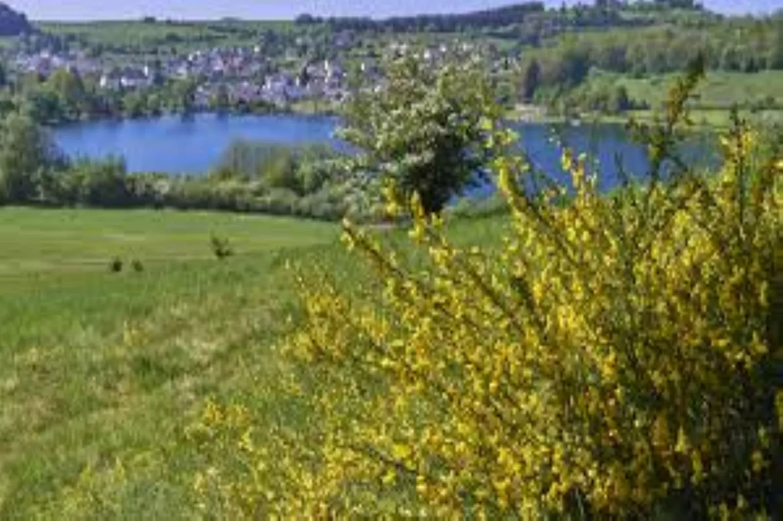 Ferienwohnung Winkel in der Vulkaneifel-Gebieden zomer 20km