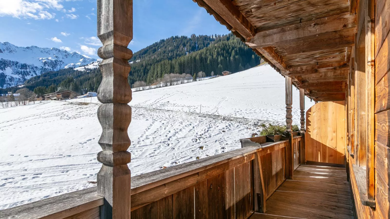 Hacklerhof Top 2 und 3 - Terrasbalkon