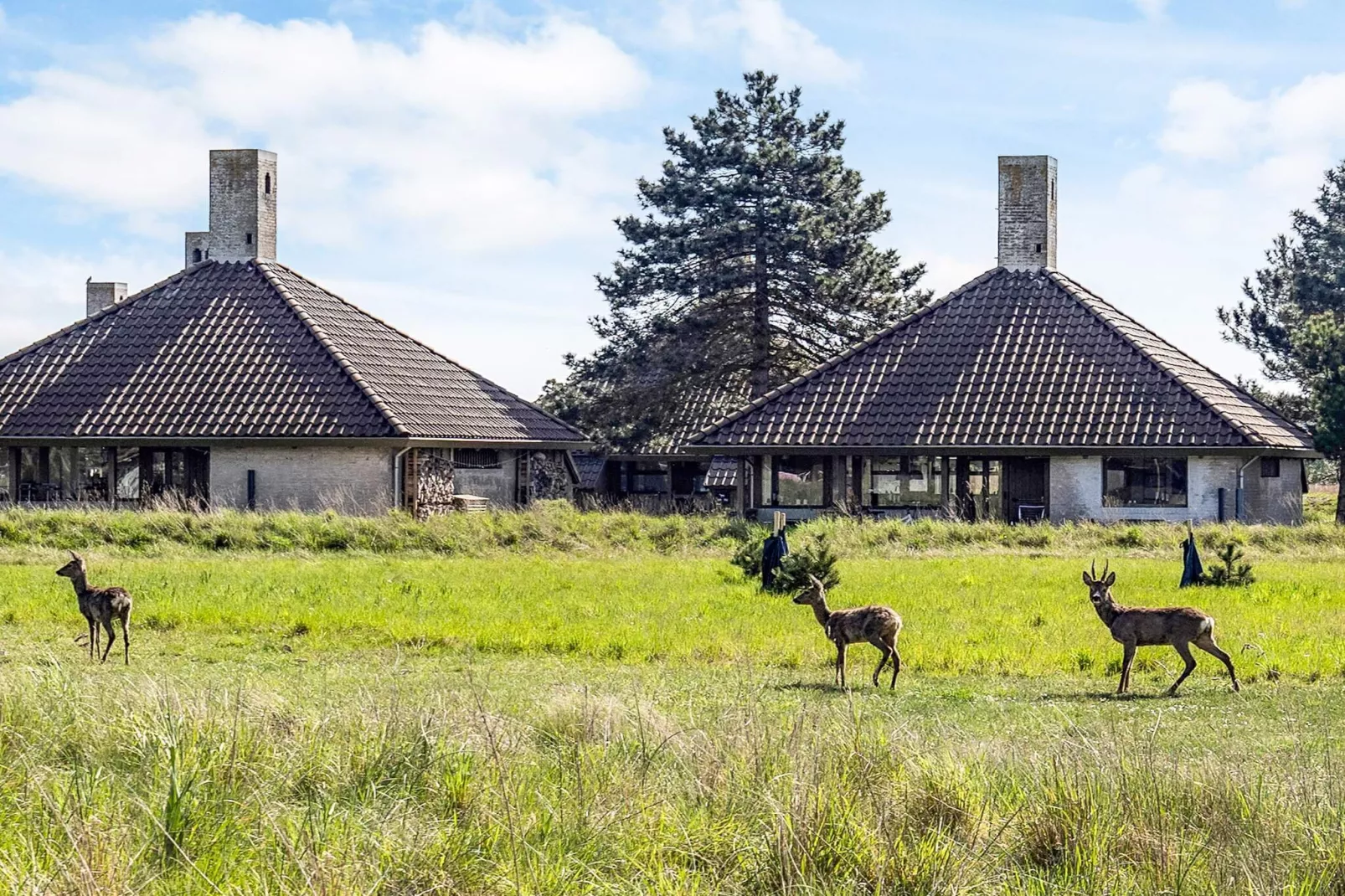 	3 roomPremium-Buitenlucht