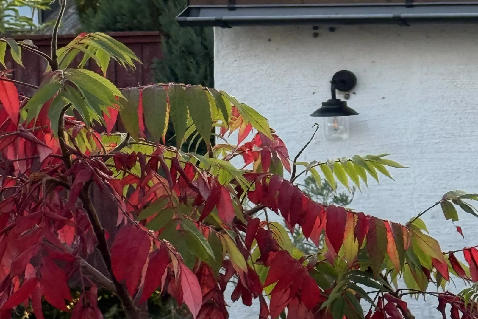 4 sterren vakantie huis in BORRBY