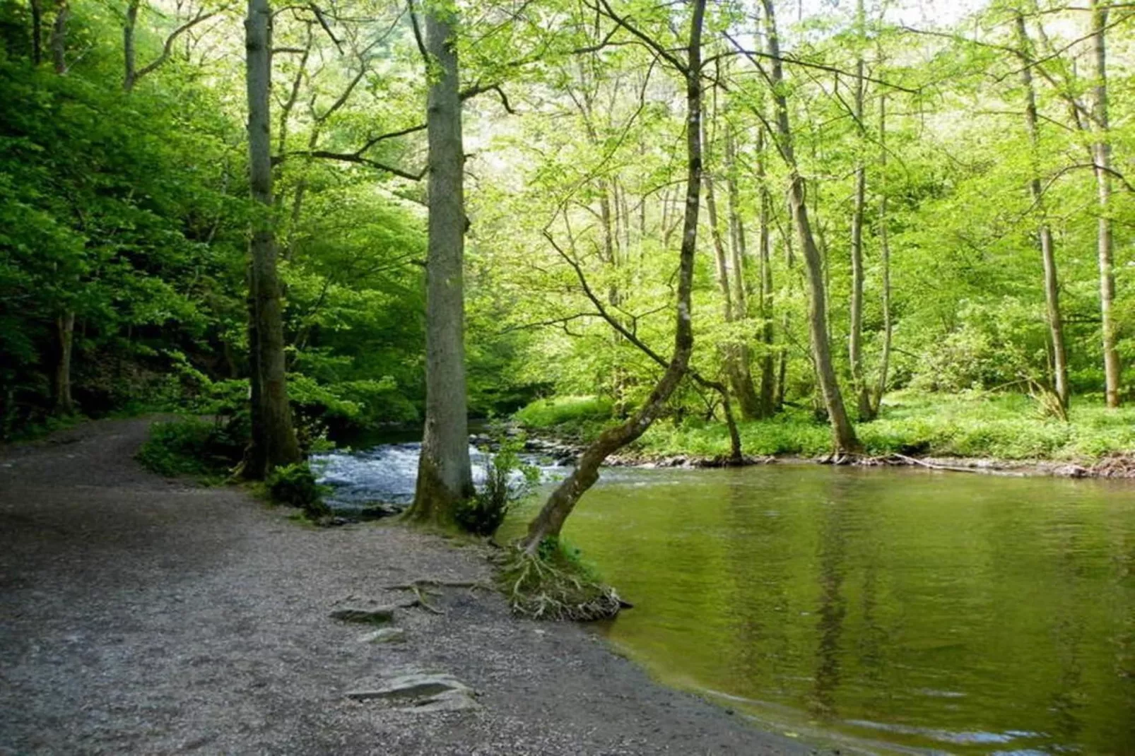 Heiderhof - Double Room-Gebieden zomer 1km