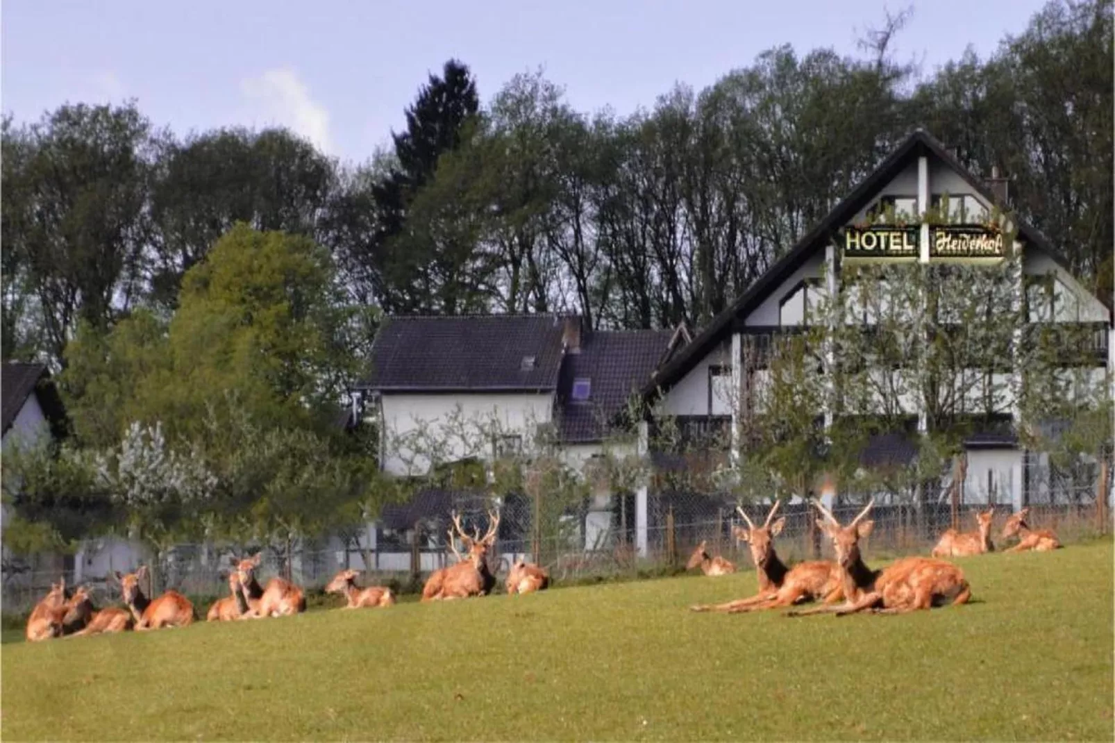 Heiderhof - Single Room-Buitenkant zomer