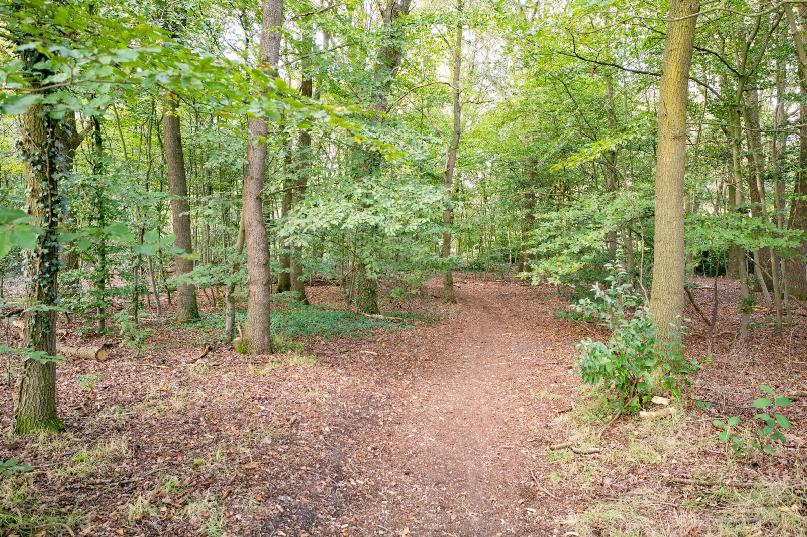 Stille Wille NR 139D-Gebieden zomer 1km