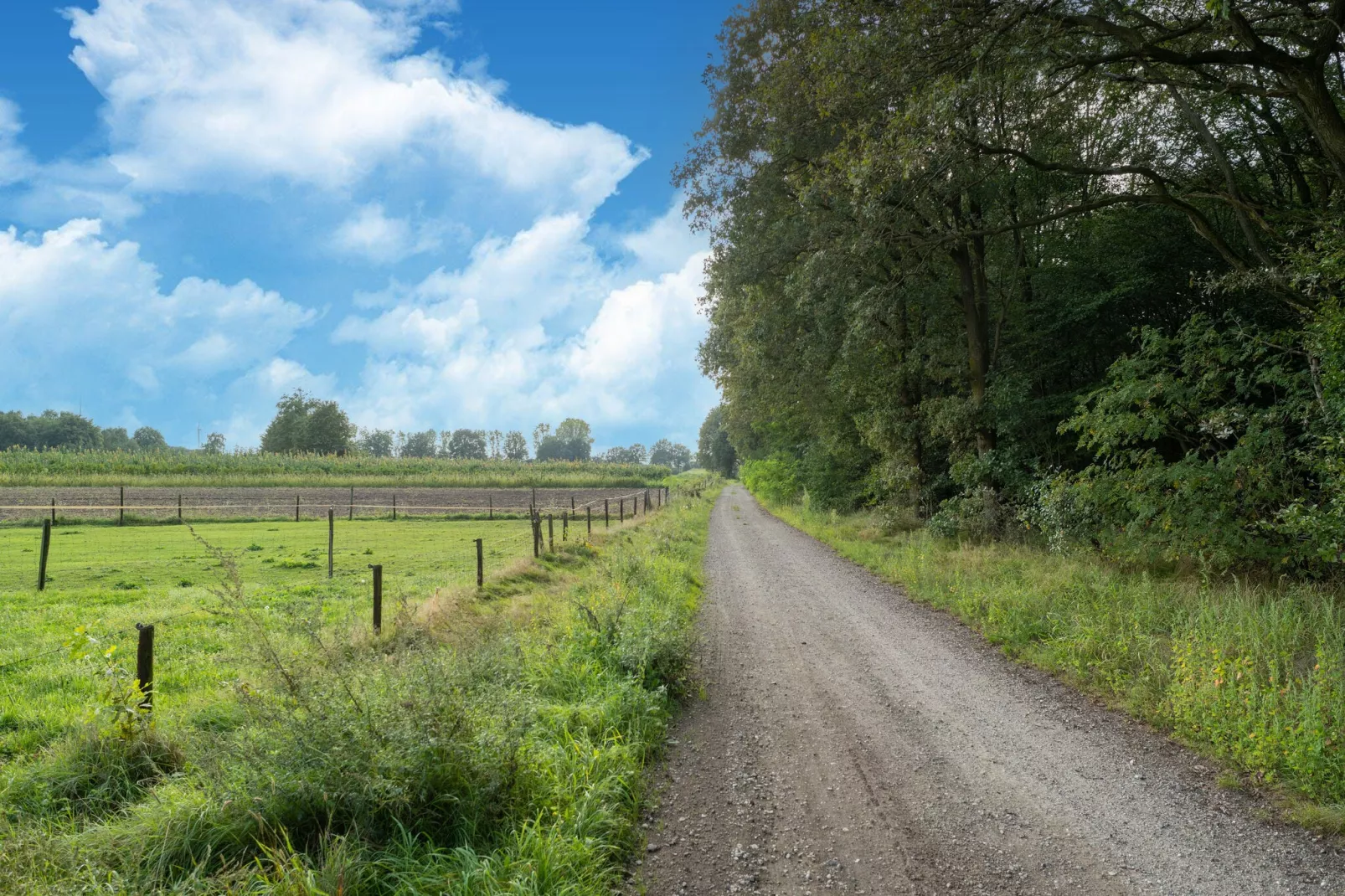 Boshuisje Elri-Gebieden zomer 5km