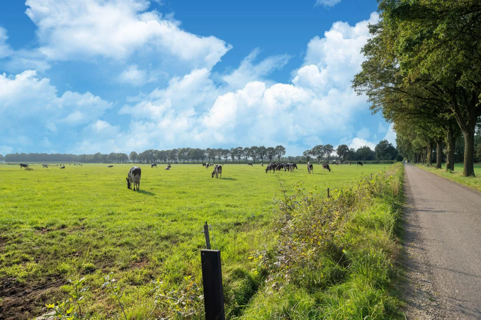 Stille Wille NR 139D-Gebieden zomer 20km