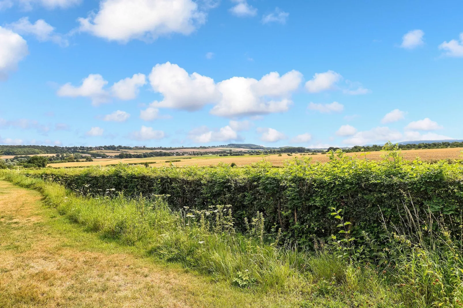 Vakantiepark Reevallis 6 - Gebieden zomer 1km