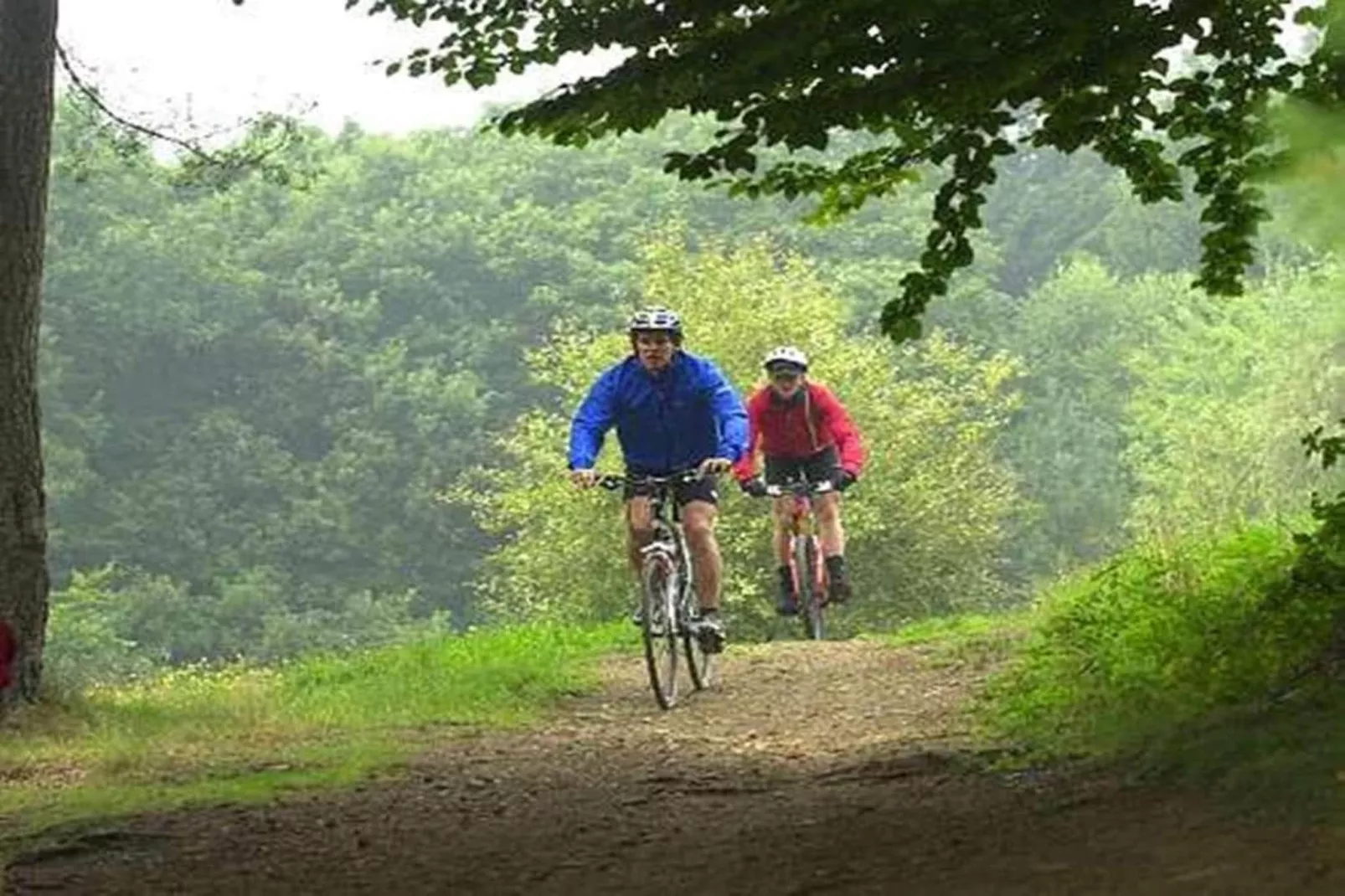 Heiderhof - Single Room-Gebieden zomer 5km