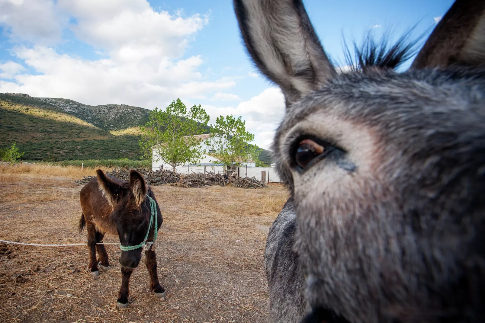 Cortijo El Llano-Sfeer