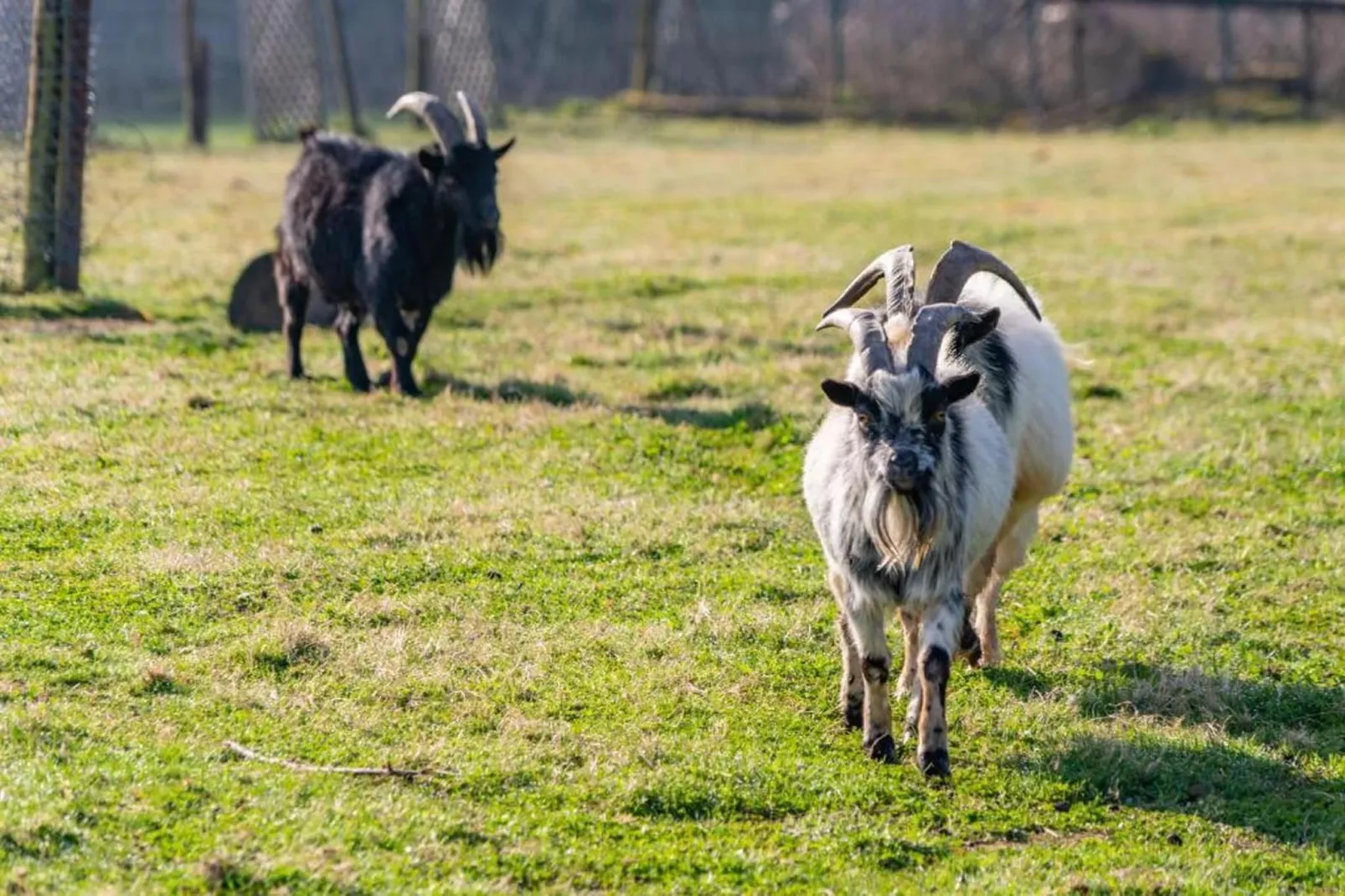 Heiderhof - Single Room-Sfeer