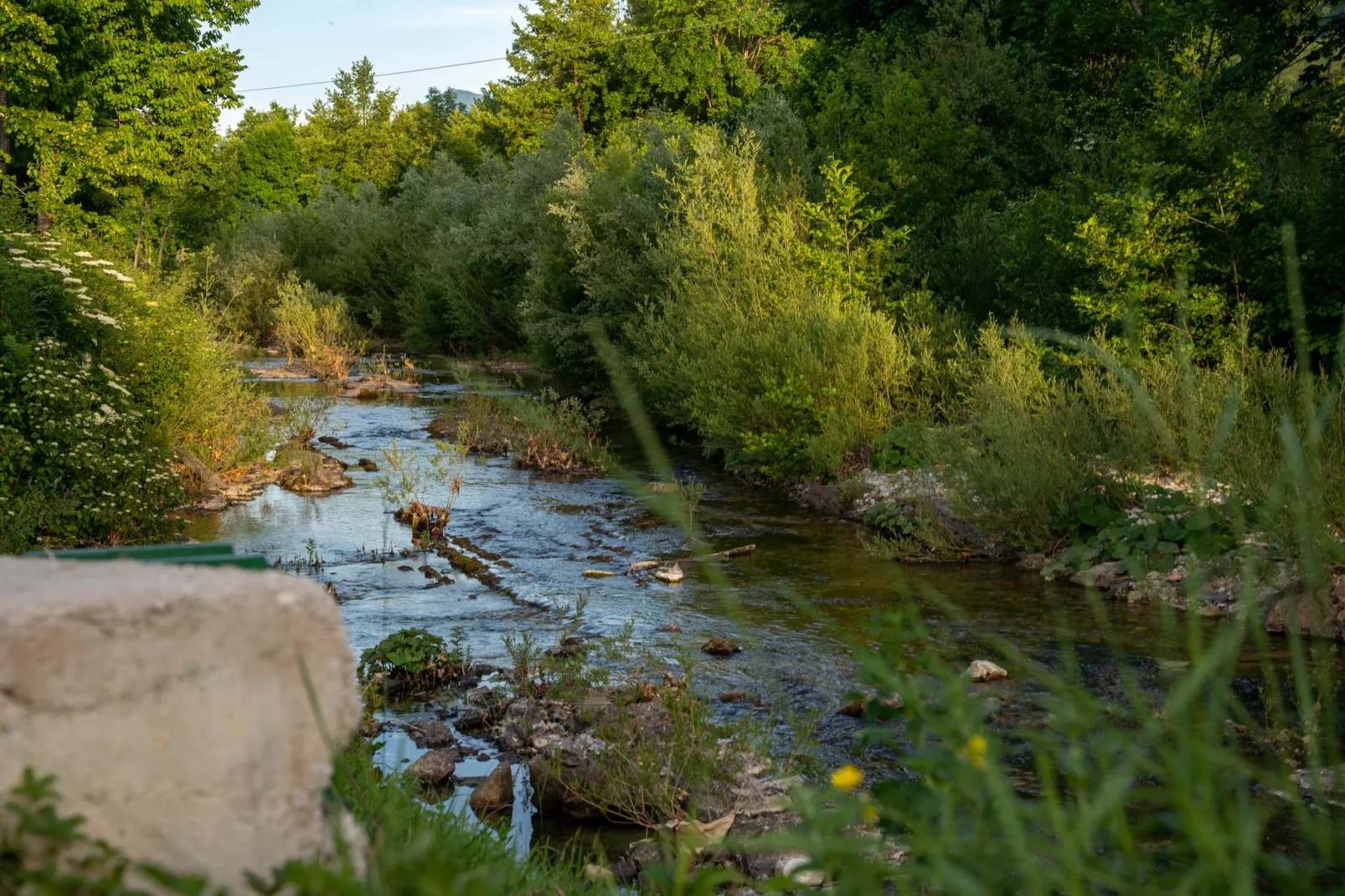 Villa Brusiana with covered heated pool-Gebieden zomer 1km
