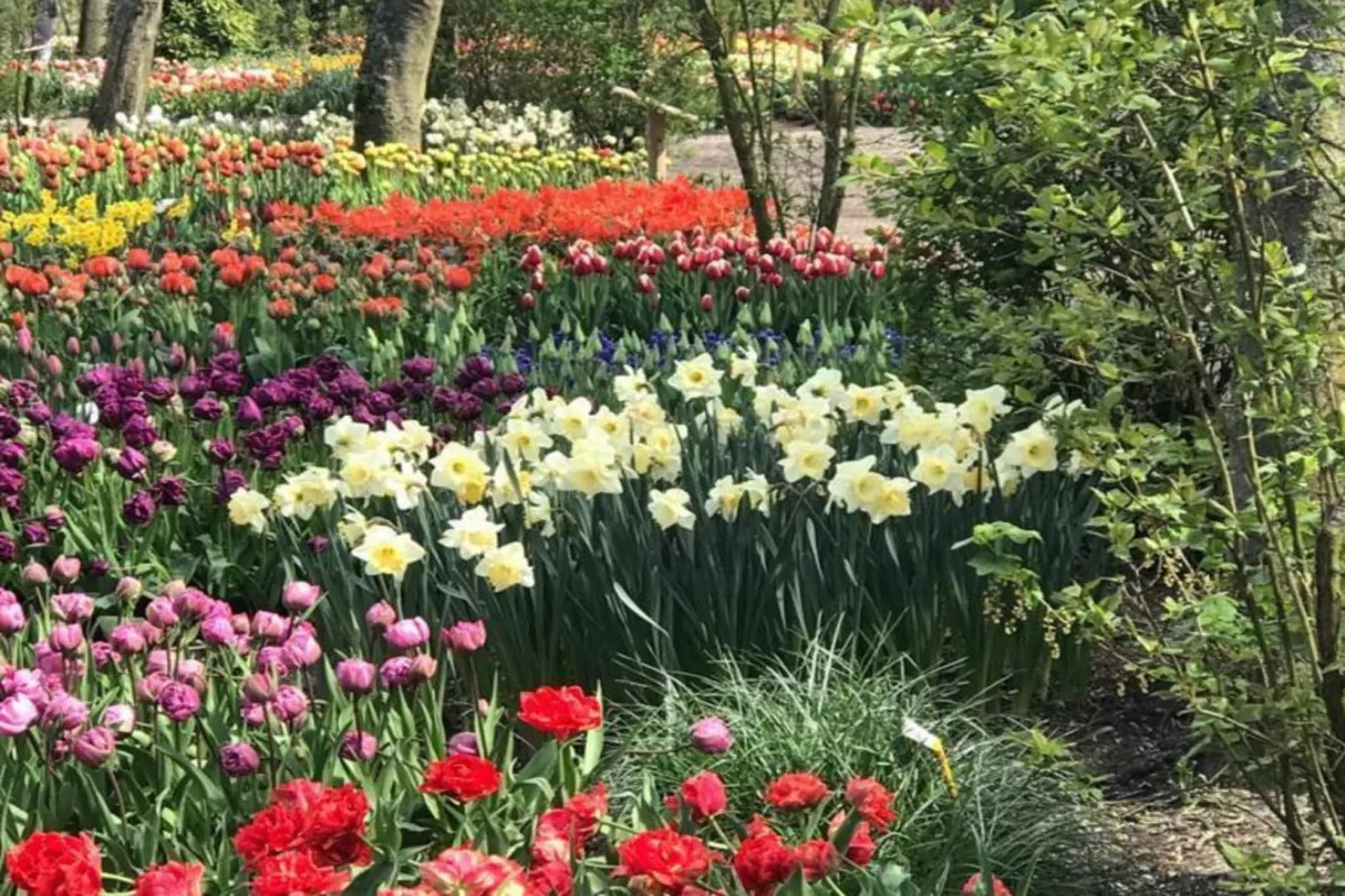 Ruyghe Hoeck 4 - Sfeer