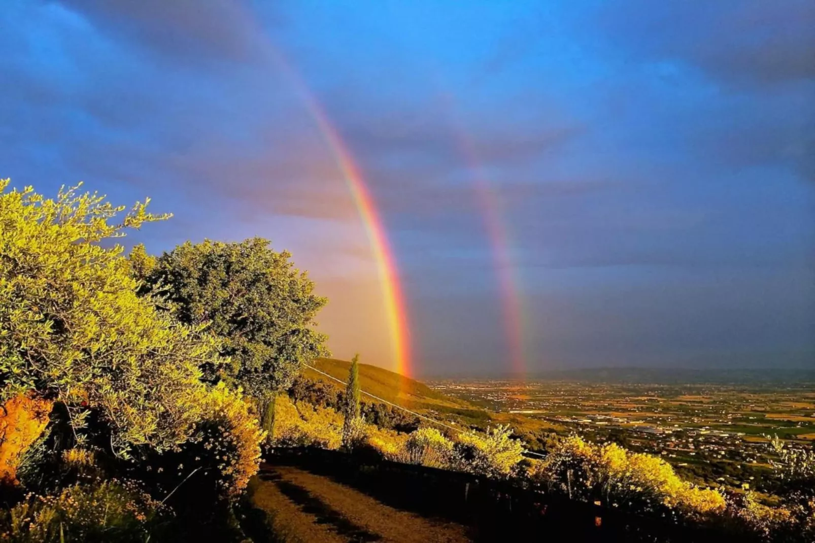 Tito-Gebieden zomer 20km