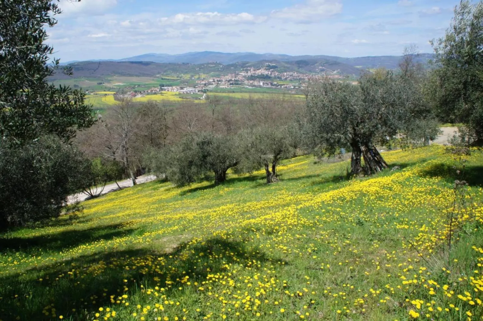 Augusto-Gebieden zomer 20km