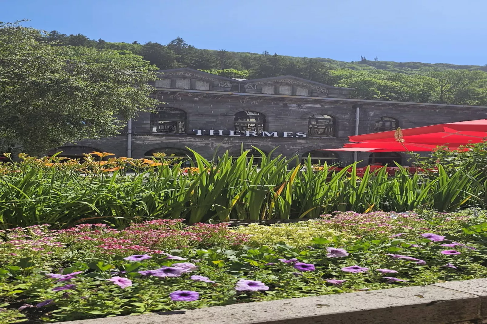 Villa Duchatel - Le Mont Dore 2/4 pers - Buitenkant zomer