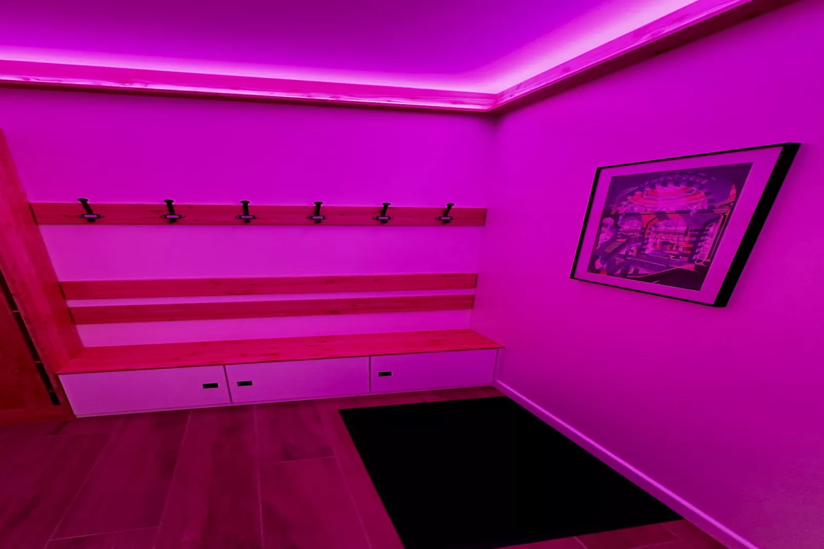 Le Refuge des Skieurs - Hal-ontvangst