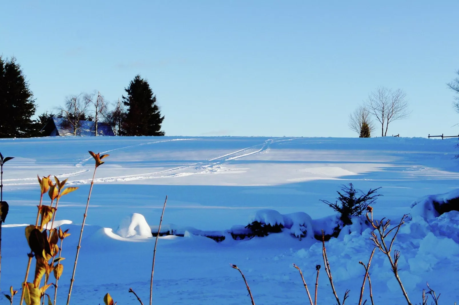 Friedas Ferienhaus Olsberg-Gebied winter 5km