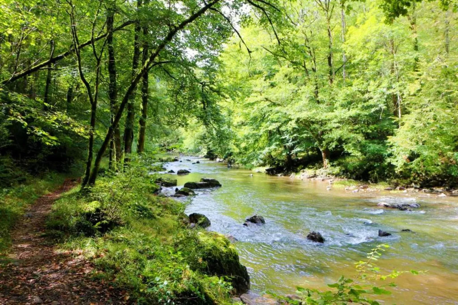 Villa Mosa - Gebieden zomer 5km