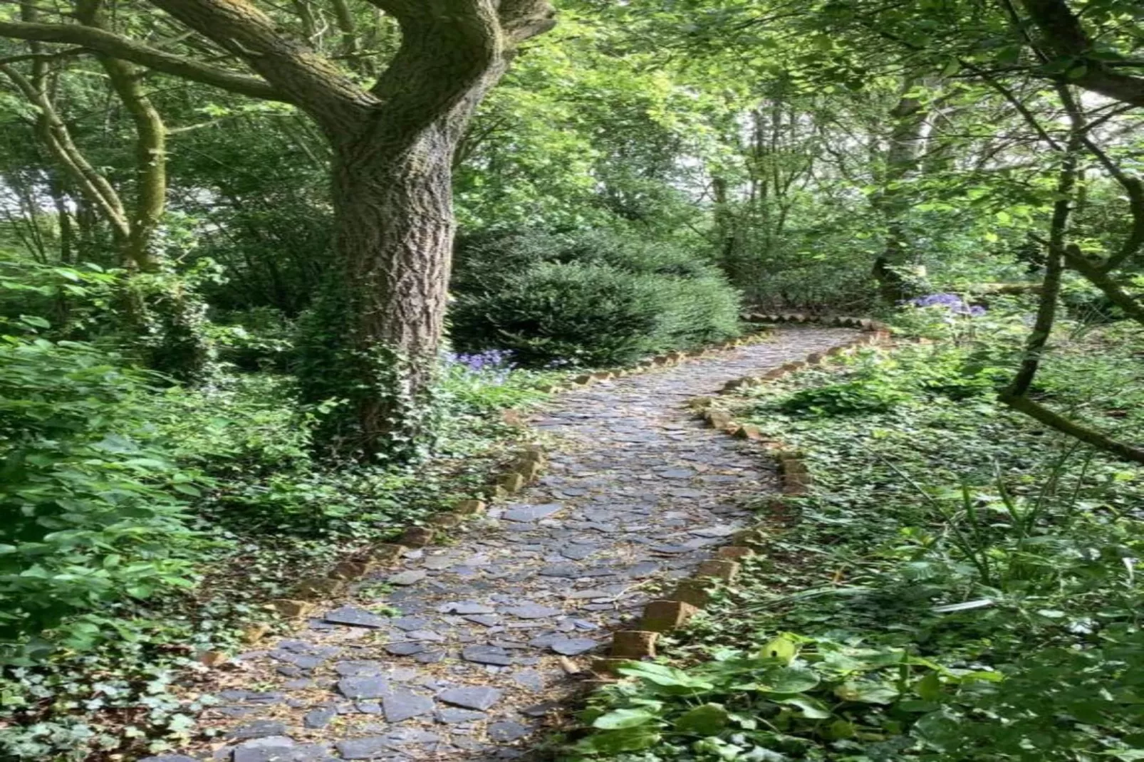 The Den - Gebieden zomer 20km