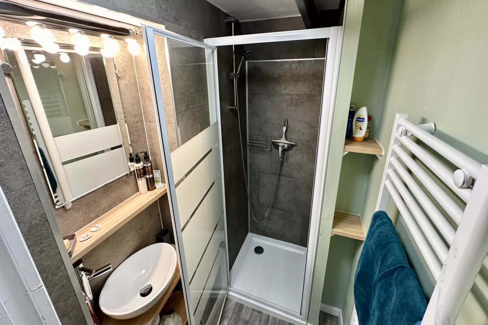 Le Soreiller 2/4 pers La Bourboule - Badkamer