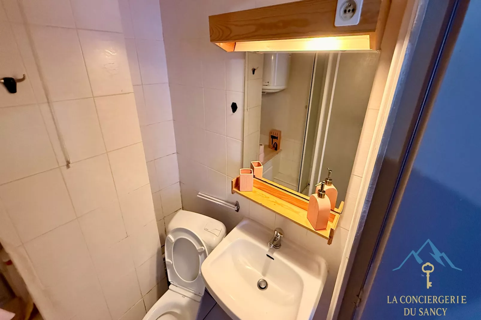 Villa Bleue 2 Le Mont Dore 4pers - Badkamer