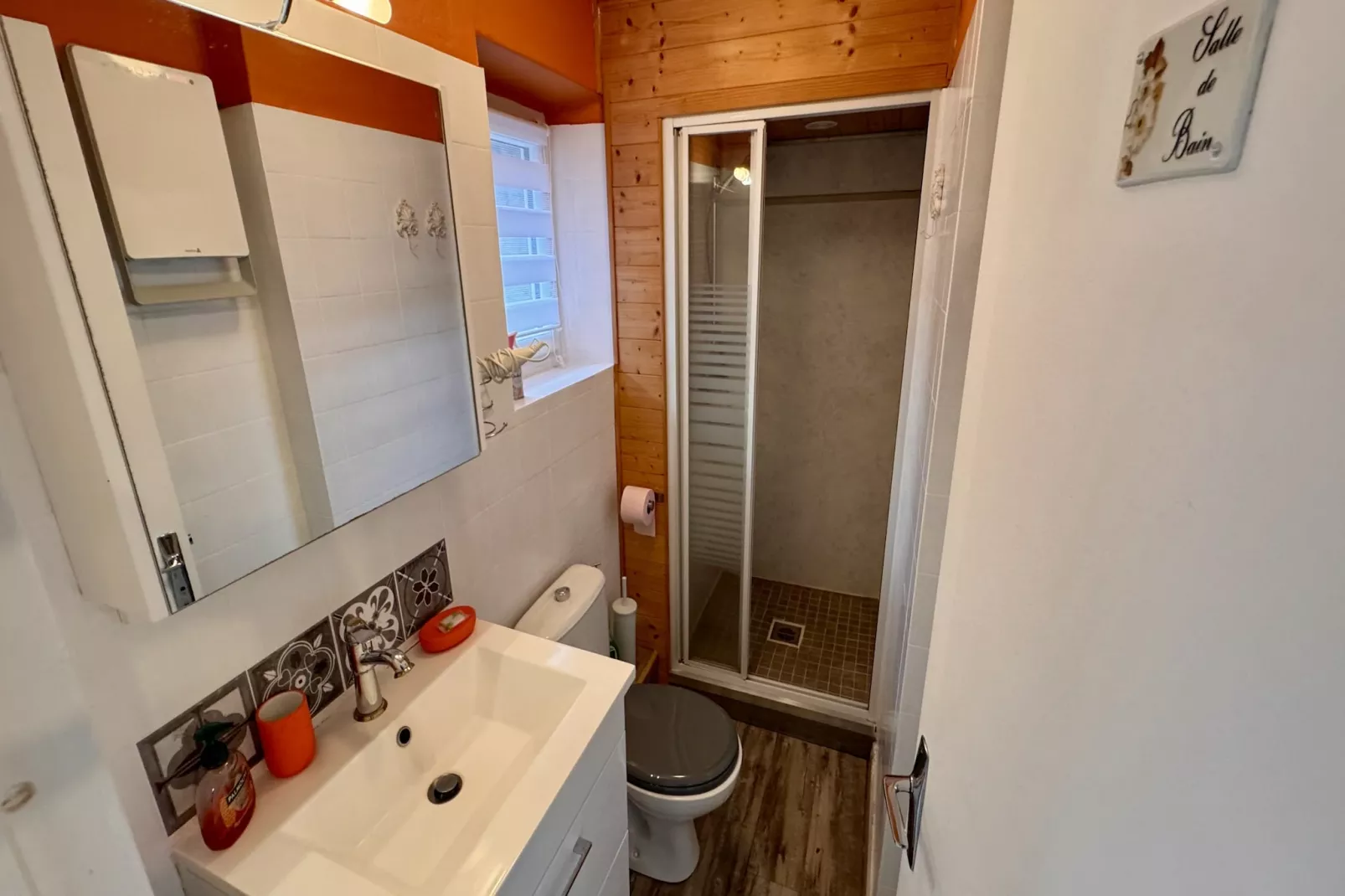 Le Myosotis Le Mont Dore 4pers - Badkamer