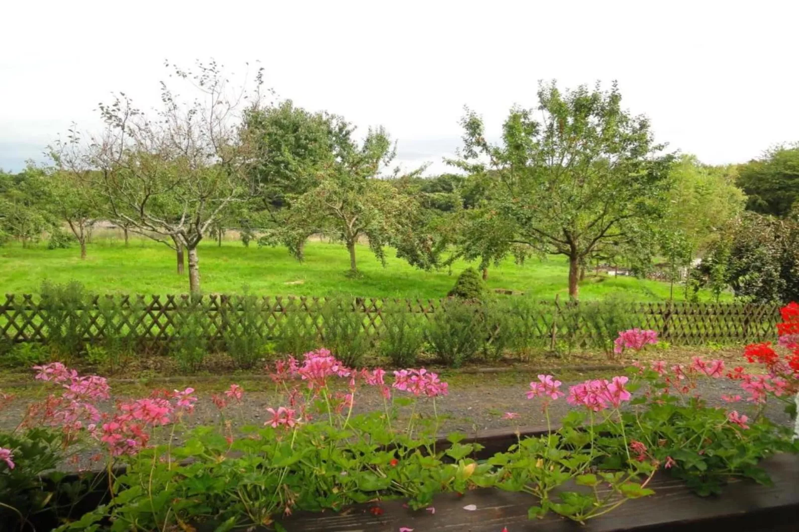 Heiderhof - Triple Room-Uitzicht zomer