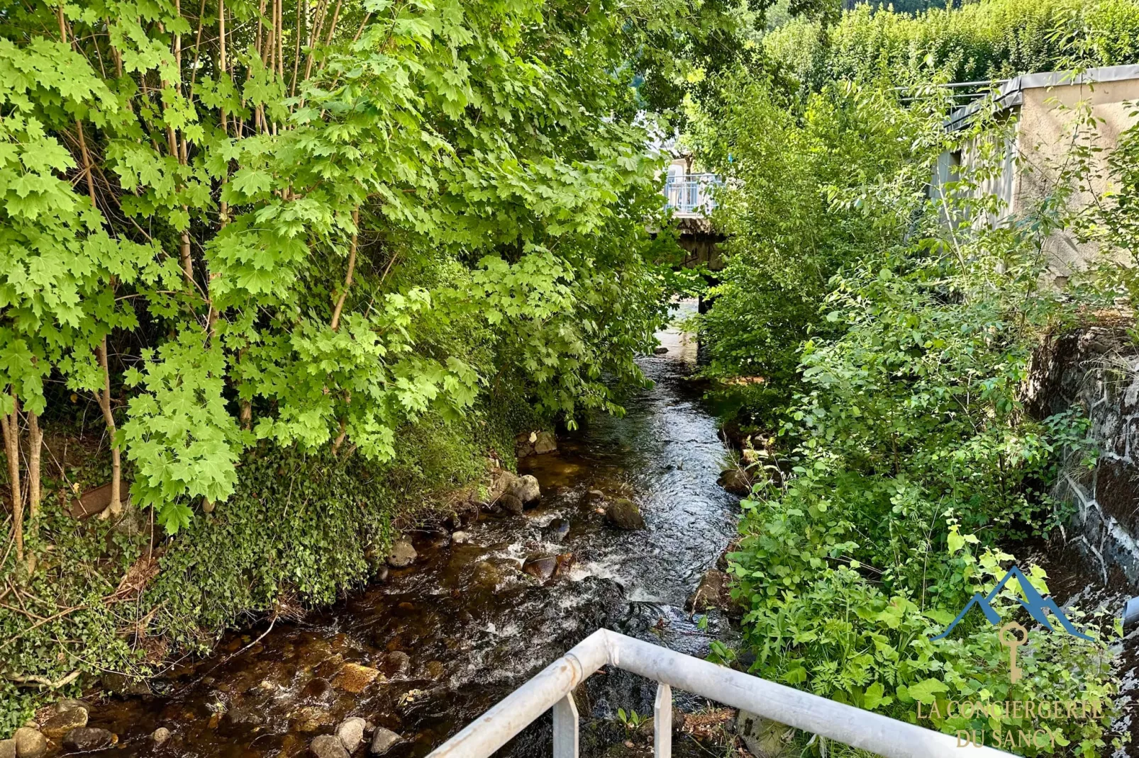La Rive Gambetta La Bourboule 4 pers-Buitenlucht