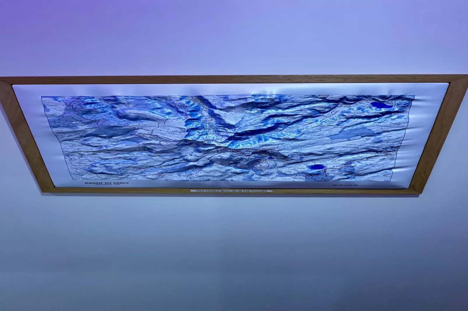 Le Refuge des Skieurs - Sfeer