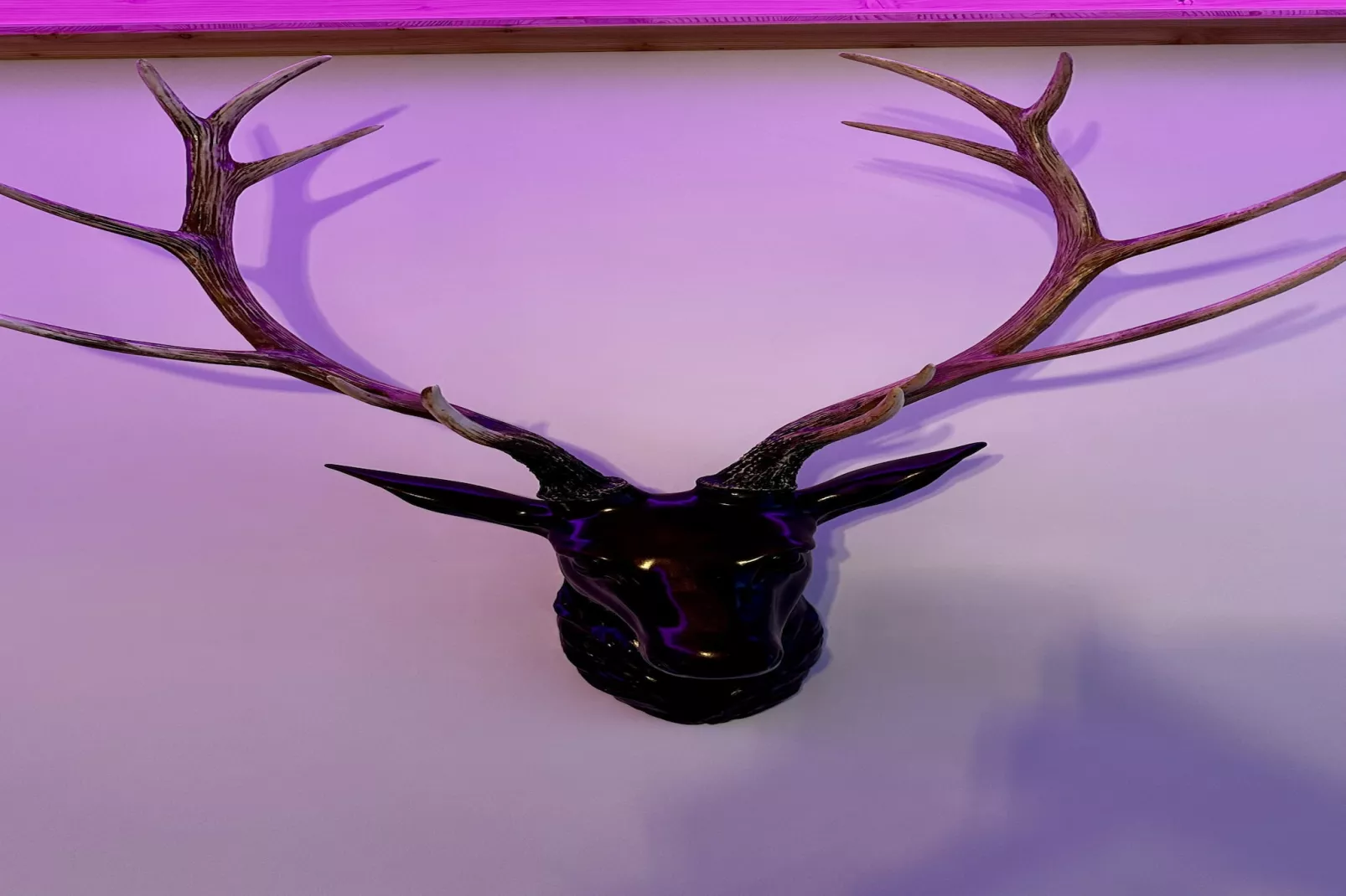 Le Refuge des Skieurs - Sfeer