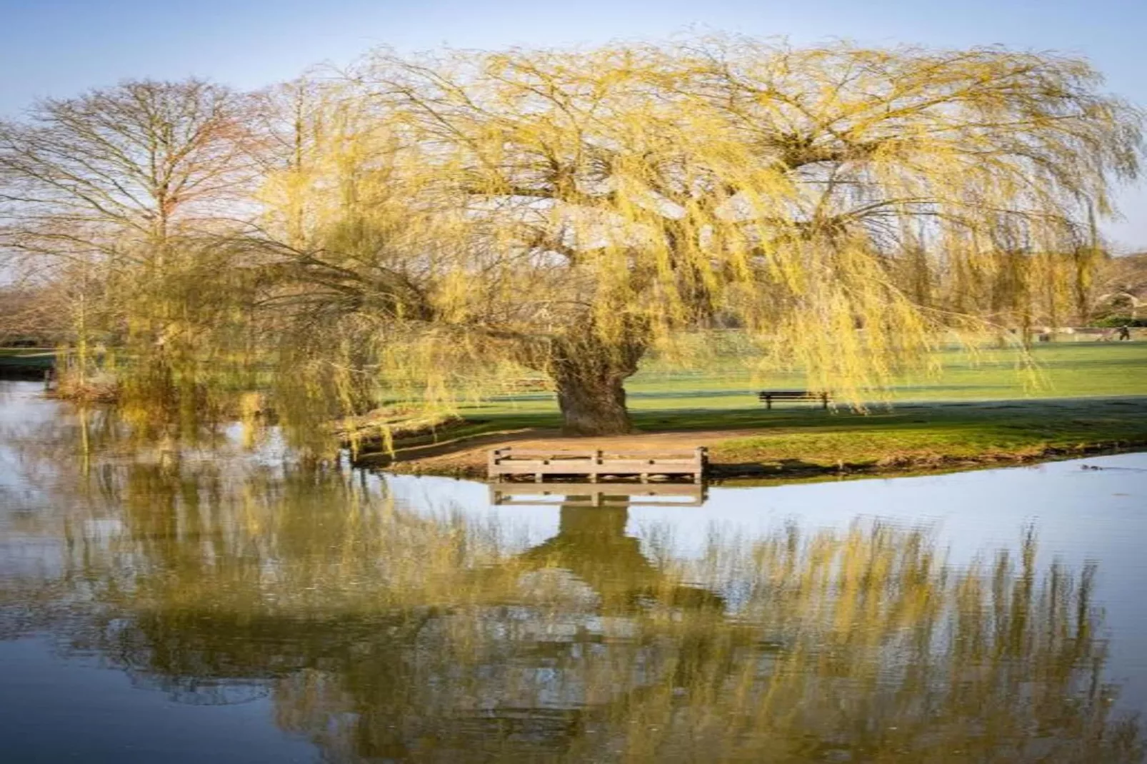 The Sett - Gebieden zomer 20km