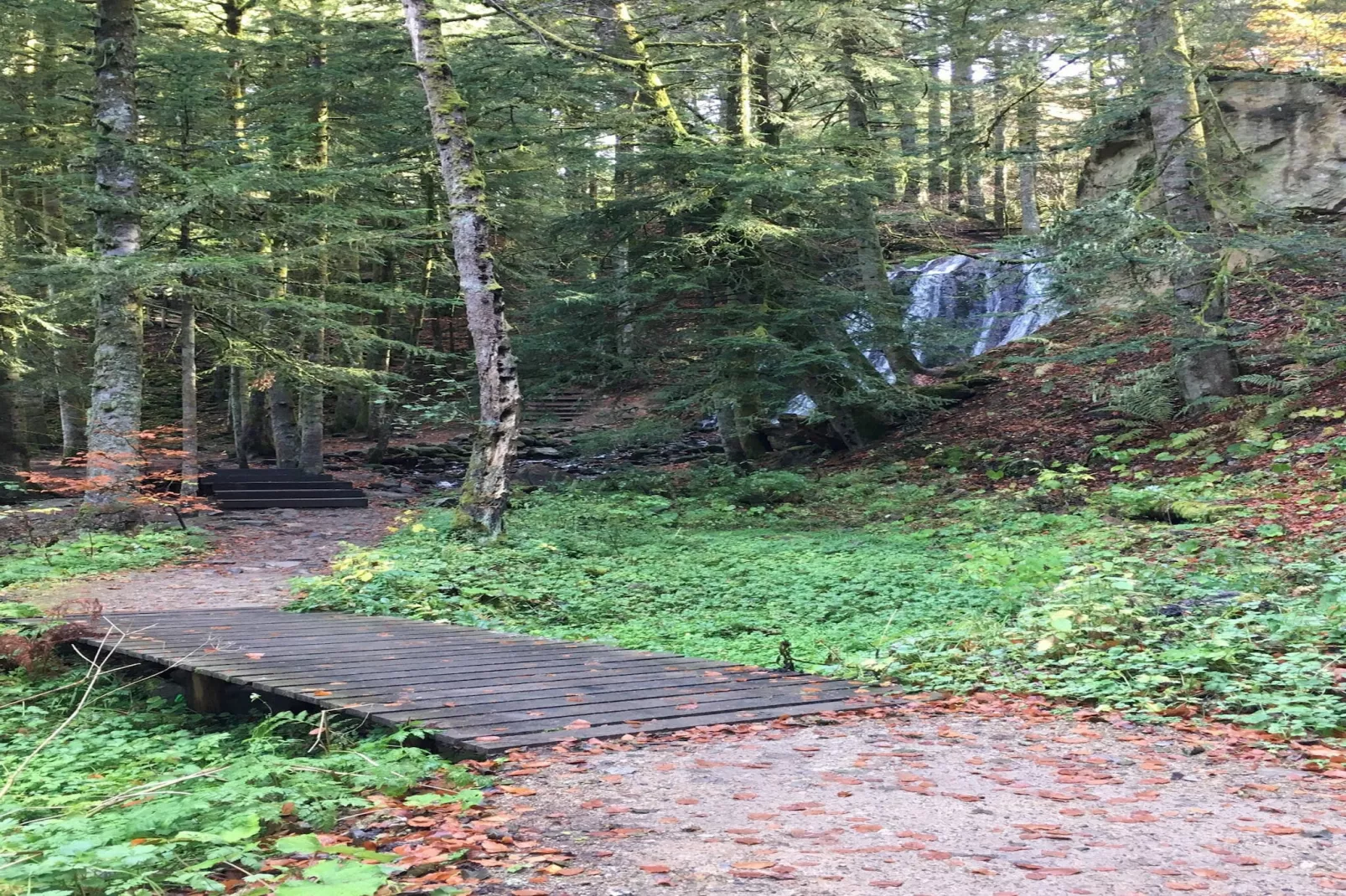 Le Buisson - 4pers Mont Dore Centre - Gebieden zomer 5km