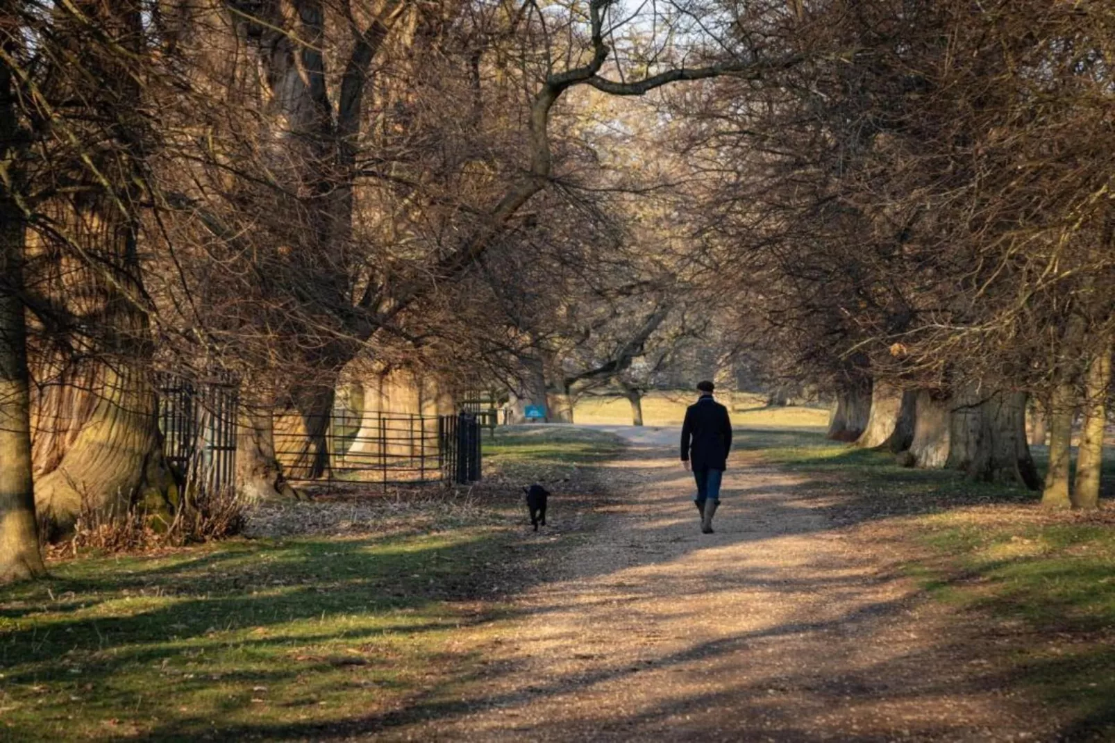 The Sett - Gebieden zomer 20km